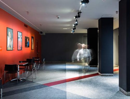 Carpet – Montreal Museum of Fine Art cinema