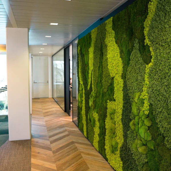 A textured wall covered in vibrant green moss, showcasing nature's growth and resilience.